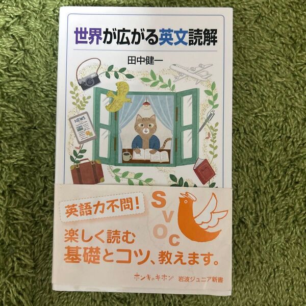 世界が広がる英文読解 (岩波ジュニア新書 971) 田中健一/著