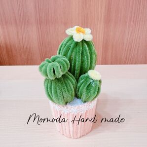 モールフラワー 可愛いサボテンの鉢植え ハンドメイド 多肉植物 flower ボタン
