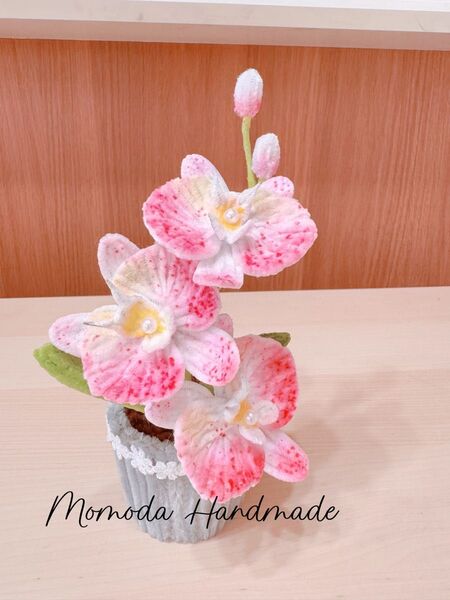 モールフラワー 胡蝶蘭の鉢植え 枯れない花 ハンドメイド