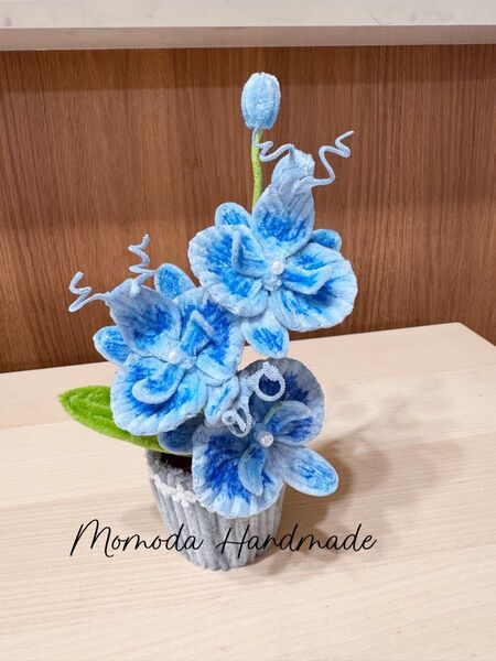 モールフラワー 胡蝶蘭の鉢植え 青色 枯れない花 ハンドメイド