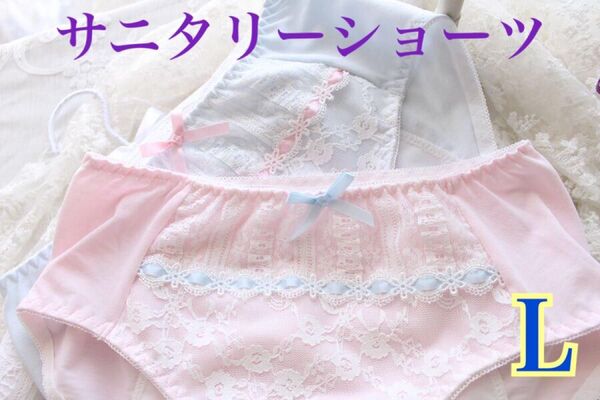 サニタリーショーツ 生理用ショーツ 2枚セット L