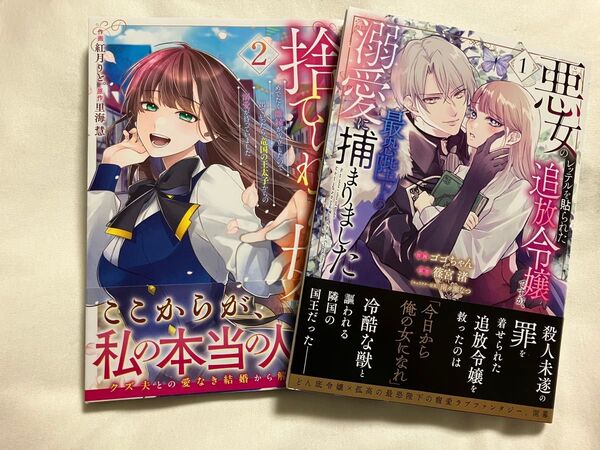 捨てられた妃 悪女のレッテルを貼られた追放令嬢ですが、最恐陛下の溺愛に捕まりました