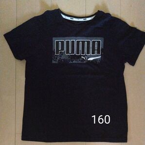 プーマ PUMA 半袖Tシャツ 160
