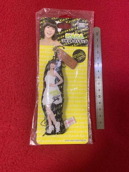 KARA スンヨン フキフキストラップ 未開封