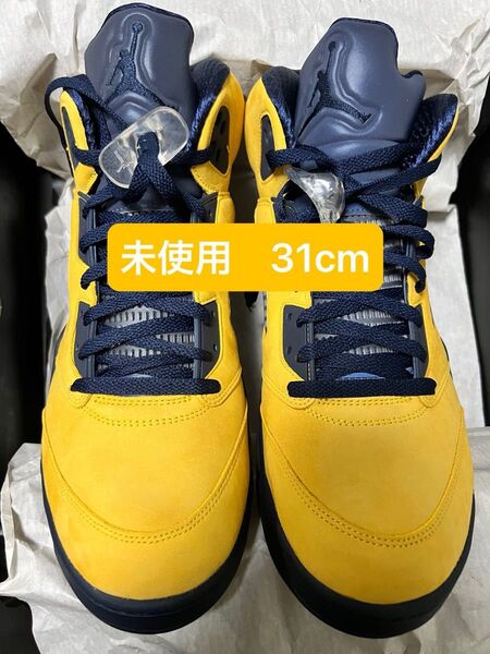 AIR JORDAN 5 RETRO SE MICHIGAN CQ9541-704