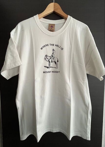 NIKE ACG Tシャツ S