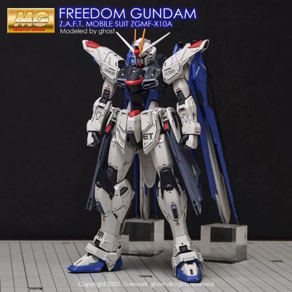 MG 1/100 フリーダムガンダム Ver.2.0用水転写式デカール他社製 ガンダム ガンプラ プラモデル