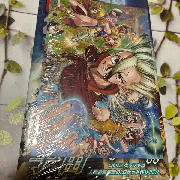 Dr.STONE 25 (ジャンプコミックス) Boichi 特典付き ポストカード