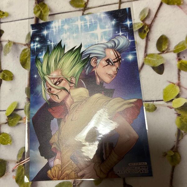 Dr.STONE ポストカーDr.ゼノ 千空