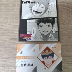 ハイキュー!! 影山飛雄 名刺カード アニメ特典ミニ色紙
