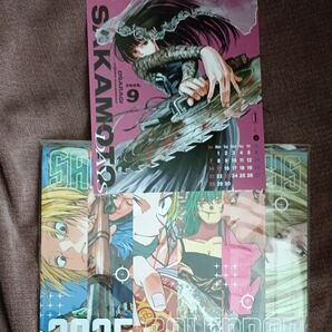 サカモトデイズ SAKAMOTO DAYS ふろくカレンダー コミックカレンダー 12月 9月