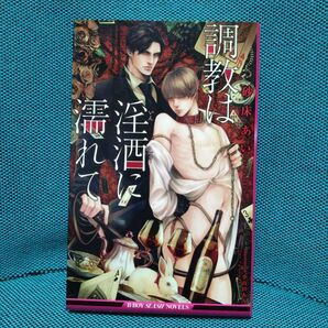 【初版】調教は淫酒に濡れて ビーボーイスラッシュノベルズ/砂床あい (著者) 小山田あみ