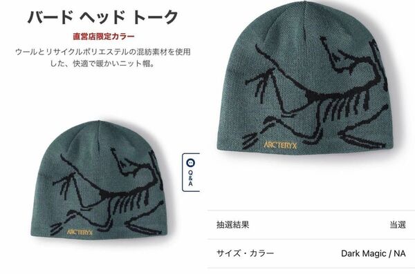 【新品未開封タグ付】アークテリクス バードヘッドトーク ダークマジック ビーニー ニット帽 バードロゴ