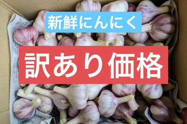 【訳あり特価】生にんにく 4.5kg 愛知県産