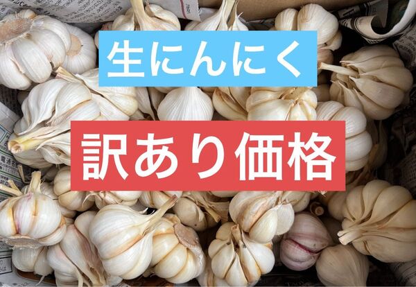 【訳あり】生にんにく 9kg 愛知県産