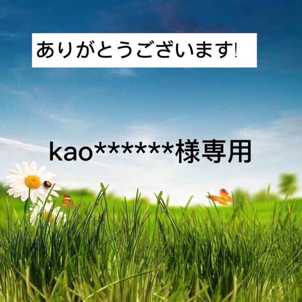 専用 ピンクゴ—ルド