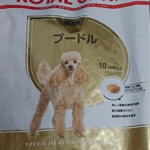 ロイヤルカナン プードル 成犬用 10ヶ月以上 3kg