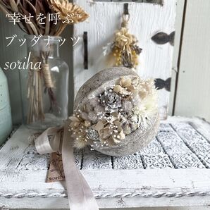 no. 1651 "幸せを呼ぶ"ブッダナッツ