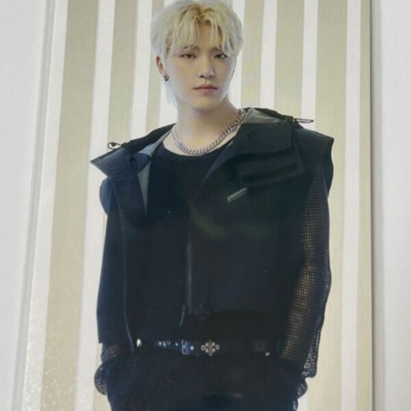 SEVENTEEN TOUR FOLLOW TO JAPAN トレカ ディノ 65