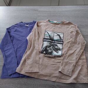 3can4on 恐竜 長袖シャツ 150 Hanes 綿100% 140程度 2枚セット ロンT
