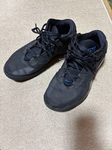 ズームフリーク1 バスケ バッシュ レブロン lebron kd kobe ハーデン ナイキ nike zoom airmax