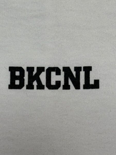 backchannel Tシャツ applebum supreme stussy nitraid アップルバム シュプリーム