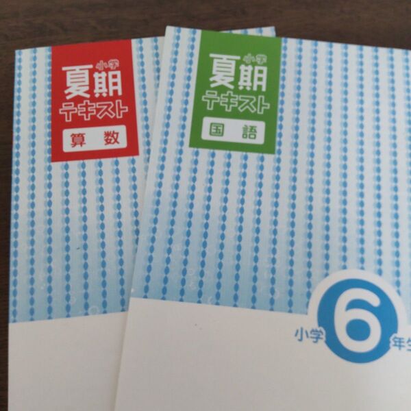 【中学受験】 夏期講習 夏期テキスト 小学校6年 国語 算数 塾 問題集