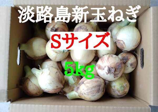 淡路島たまねぎSサイズ5kg農家直送南あわじ