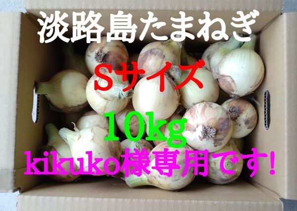 淡路島たまねぎSサイズ10kg農家直送南あわじ