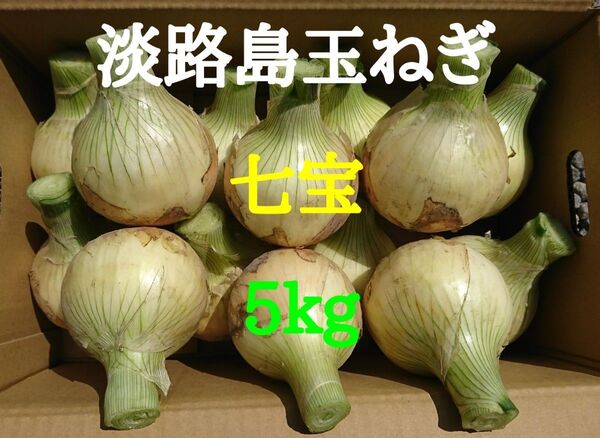 淡路島たまねぎ5kg農家直送南あわじ