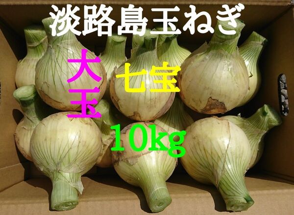 淡路島たまねぎ大玉10kg農家直送南あわじ
