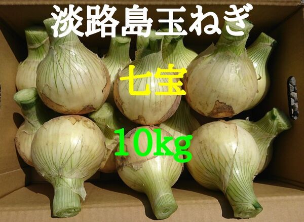 淡路島たまねぎ10kg農家直送南あわじ