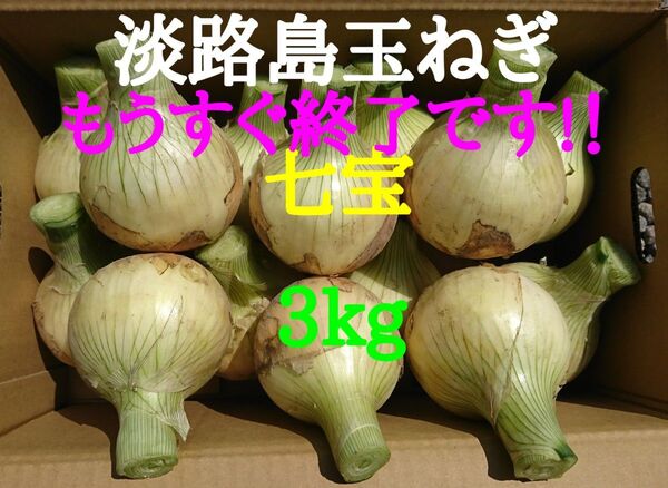 淡路島たまねぎ3kg農家直送南あわじ