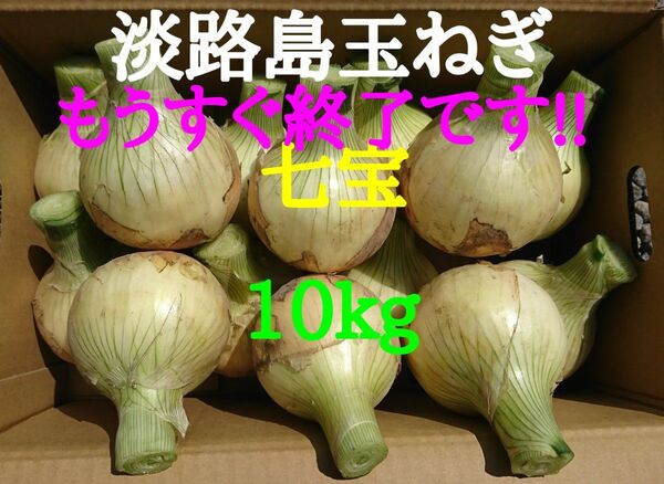 淡路島たまねぎ10kg農家直送南あわじ