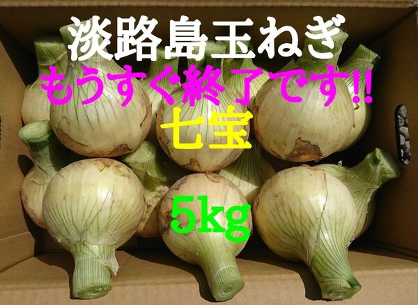 淡路島たまねぎ5kg農家直送南あわじ
