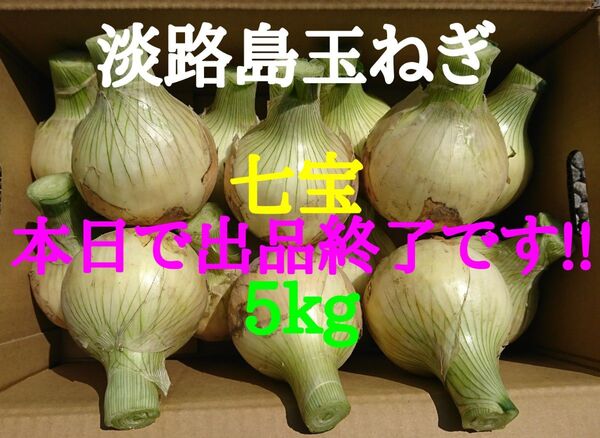 淡路島たまねぎ5kg農家直送南あわじ
