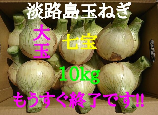 淡路島たまねぎ大玉10kg農家直送南あわじ