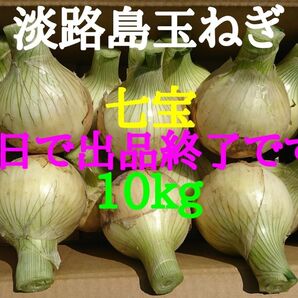 淡路島たまねぎ10kg農家直送南あわじ