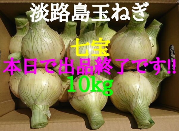 淡路島たまねぎ10kg農家直送南あわじ