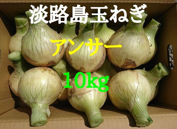 淡路島たまねぎ10kg農家直送南あわじ