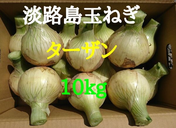 淡路島たまねぎ10kg農家直送南あわじ