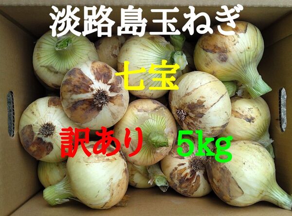 淡路島たまねぎ訳あり5kg農家直送南あわじ