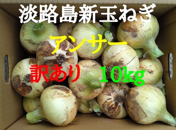淡路島たまねぎ訳あり10kg農家直送南あわじ