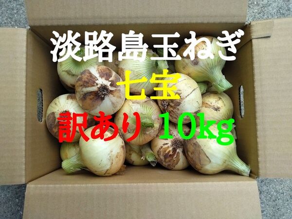 淡路島たまねぎ訳あり10kg農家直送南あわじ