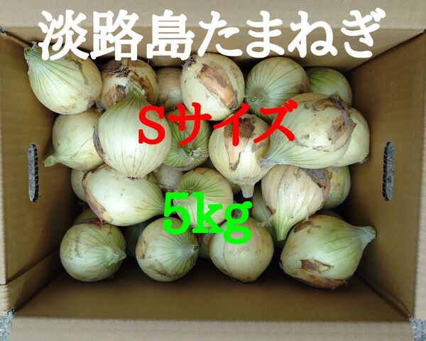 淡路島たまねぎSサイズ5kg農家直送南あわじ