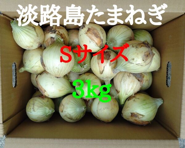 淡路島たまねぎSサイズ3kg農家直送南あわじ