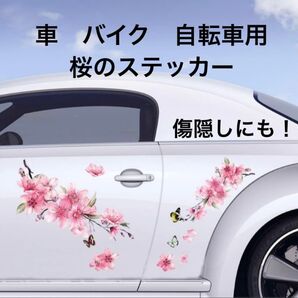桜ステッカー 20×28cm(2枚) 傷隠し 車 バイク 自転車