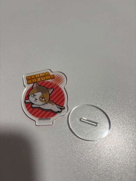 ハイキュー!! ねこま 孤爪研磨 アクリルスタンド