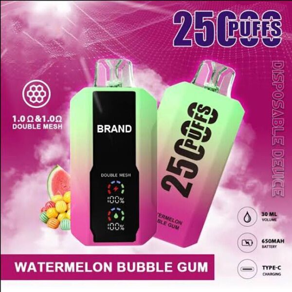 Vape Bang 25000puffs ニコパフ N3 ウォッターメロンバブルガム