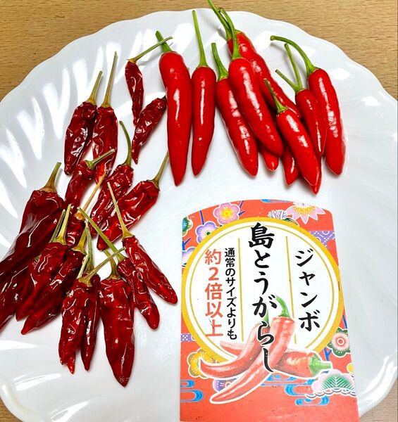 ジャンボ島とうがらし 沖縄産 島唐辛子